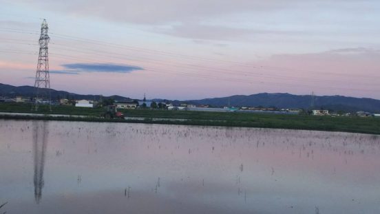 田伝むし5月の夕暮れ