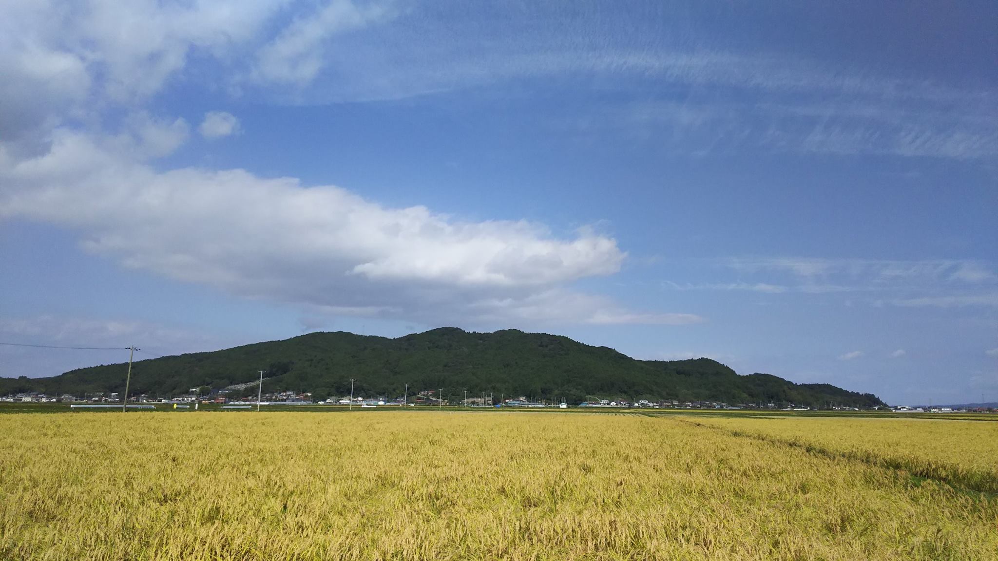 無農薬と農薬不使用 | 田伝むし農園便り